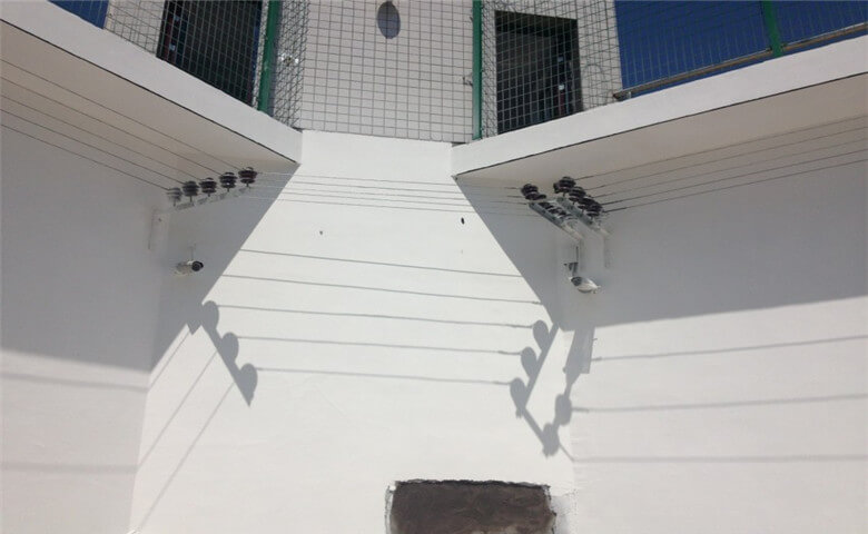 1560493396286774.jpg 電網 (2).jpg